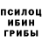 Галлюциногенные грибы мухоморы Fedor Reacher