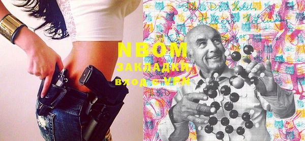 индика Алзамай
