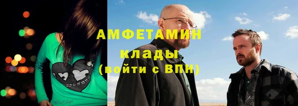индика Алзамай
