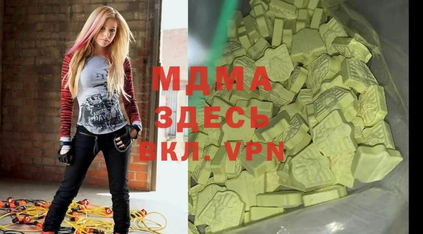 индика Алексин