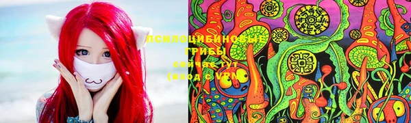 индика Алексин
