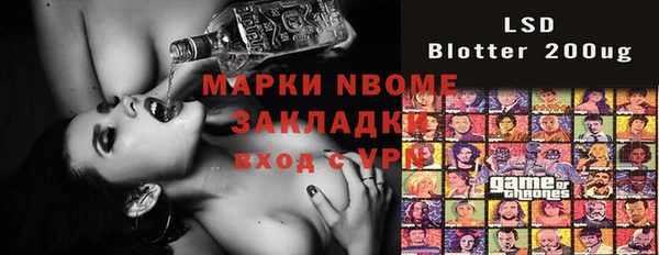 индика Алексин
